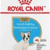 cat food dry Royal Canin | Royal Canin French Bulldog Puppy Dry Dog Food, 3 Lb Bag