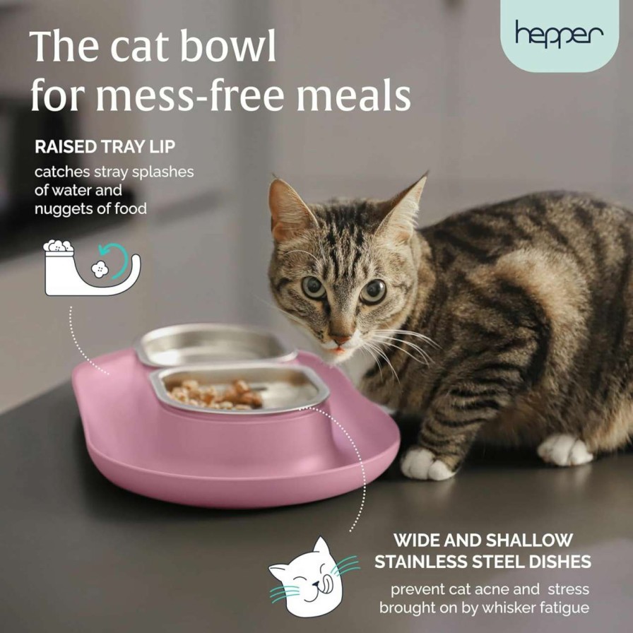 cat food wet Hepper | Hepper Nomnom - Spill Proof Elevated Cat Bowls For Food And Water - Whisker Relief Cat Bowl + Raised Cat Food Bowls: A Safe Cat Dish For Messy Cats - Stainless Steel Cat Bowl Station