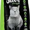 cat litter Skoon | (1 Bag) Skoon All-Natural Cat Litter, 8 Lbs - Light-Weight, Non-Clumping, Low Maintenance, Eco-Friendly - Absorbs, Locks And Seals Liquids For Best Odor Control.