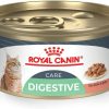 cat food Royal Canin | Royal Canin Feline Digestive Care Thin Slices In Gravy Wet Cat Food, 3 Oz Can (24-Count)