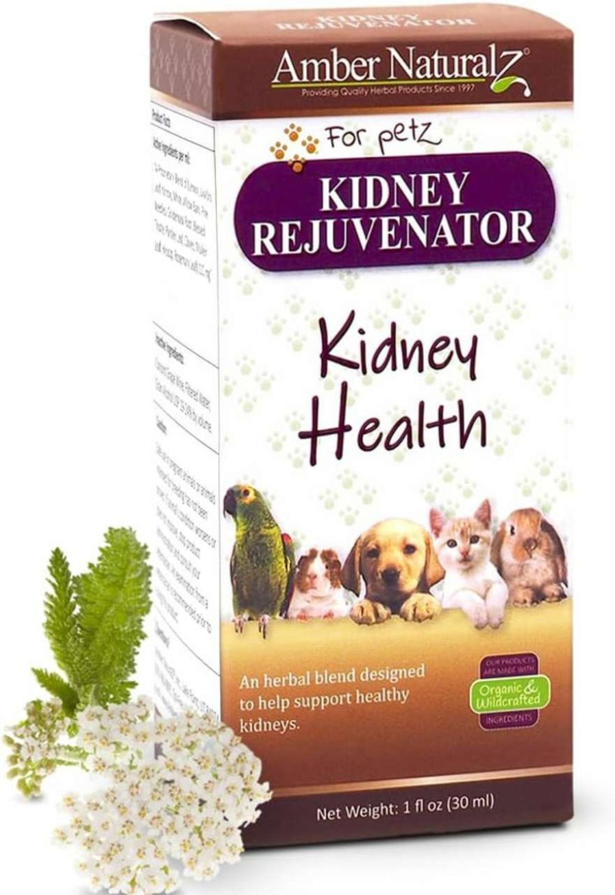 cat food wet AMBER NATURALZ | Amber Naturalz - Kidney Rejuvenator - Kidney Health - For Petz - 1 Ounce