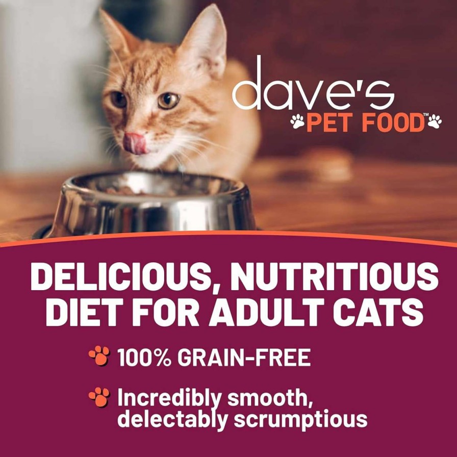 cat food wet Dave's Pet Food | Dave'S Pet Food Grain Free Wet Cat Food (Shredded Chicken & Lamb In Gravy), Naturally Healthy Canned Cat Food, Added Vitamins & Minerals, Wheat, Gluten, & Gmo-Free, 2.8 Oz Cans (Case Of 24)