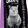 cat litter Skoon | (1 Bag) Skoon All-Natural Cat Litter -Lavender Scent- Light-Weight, Non-Clumping, Low Maintenance & Eco-Friendly. Absorbs & Seals Liquids For Best Odor Control