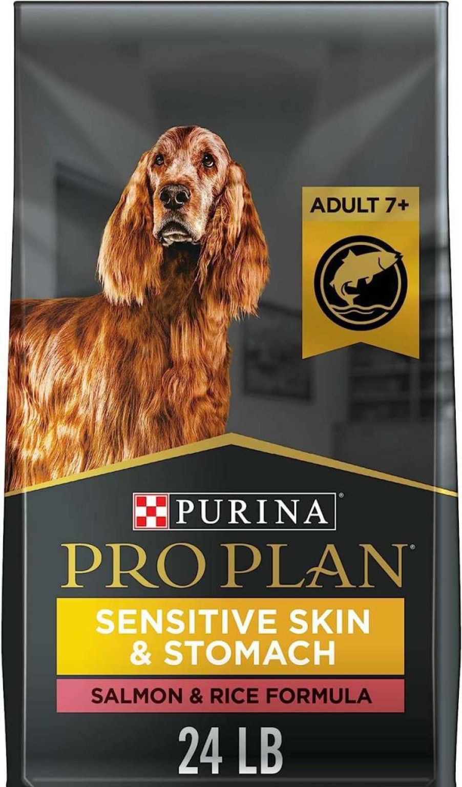 cat food wet Purina Pro Plan | Purina Pro Plan Sensitive Skin And Stomach Wet Dog Food Pate Lamb And Oat Meal Entree - (12) 13 Oz. Cans