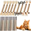 cat food wet NSWXZDS | Nswxzds Cat Toys 10-Pack Cat Treat Catnip Toys Silvervine Chew Stick, Kitten Teeth Cleaning Matatabi Mint Snack Dental Molar Food Wood Exercise For Indoor Kitty Rabbit Bunny Hamster Chinchilla