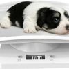 cat food YTCYKJ | Ytcykj Digital Pet Scale For Small Dogs, Multi-Function Led Puppy Weight Scale Accurately, Perfect For Puppy/ Itty/Hamster/Hedgehog/Food, Capacity Up To 22 Lb, Length 11Inch