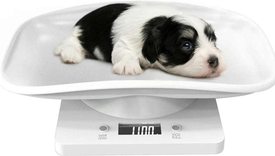 cat food YTCYKJ | Ytcykj Digital Pet Scale For Small Dogs, Multi-Function Led Puppy Weight Scale Accurately, Perfect For Puppy/ Itty/Hamster/Hedgehog/Food, Capacity Up To 22 Lb, Length 11Inch