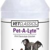 cat food wet Vet Classics | Vet Classics Pet-A-Lyte Oral Electrolyte Solution For Dogs And Cats Helps Replace Fluids Lost From Pet Dehydration, Diarrhea, Vomiting Replaces Dog Electrolytes 32 Oz.