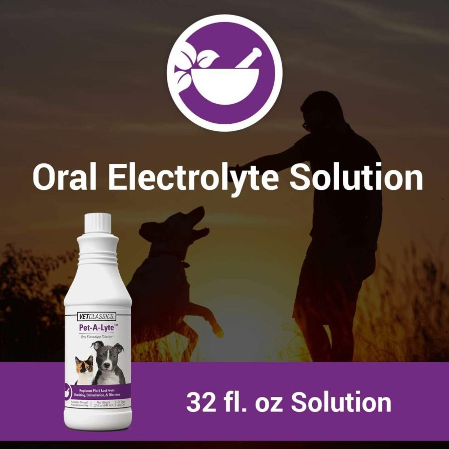 cat food wet Vet Classics | Vet Classics Pet-A-Lyte Oral Electrolyte Solution For Dogs And Cats Helps Replace Fluids Lost From Pet Dehydration, Diarrhea, Vomiting Replaces Dog Electrolytes 32 Oz.