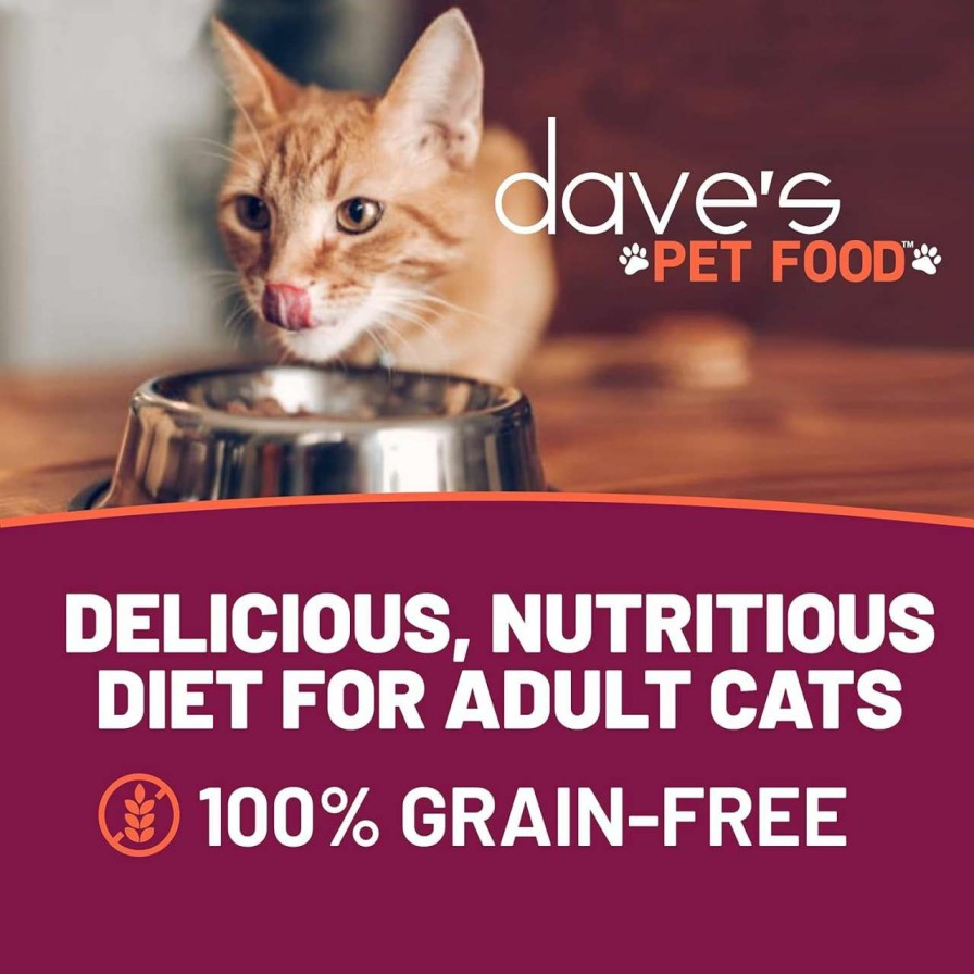 cat food wet Dave's Pet Food | Dave'S Pet Food Grain Free Wet Cat Food (Tuna & Salmon Dinner In Aspic), Naturally Healthy Canned Cat Food, Added Vitamins & Minerals, Wheat & Gluten-Free, 5.5 Oz Cans (Case Of 24)