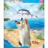 cat food Friskies | Friskies Dry Cat Food, Seafood Sensations, 16-Pound Bag, Pack Of 1