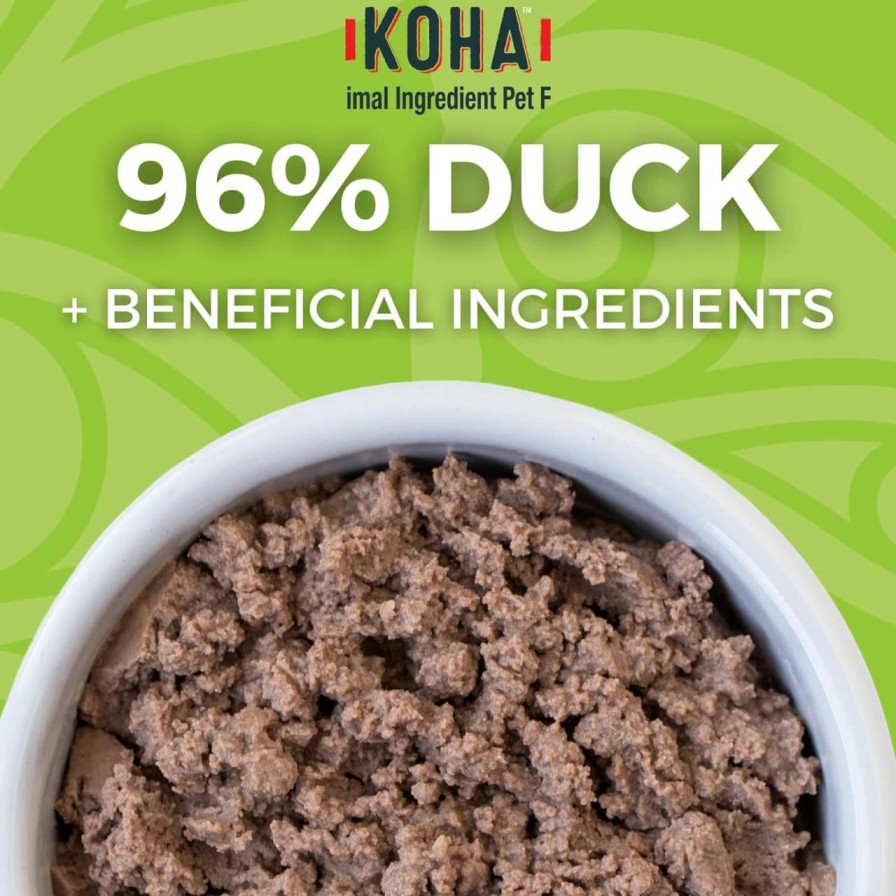 cat food wet KOHA | Koha Limited Ingredient Diet Turkey Pate For Cats - Single Meat Wet Cat Food For Sensitive Stomachs - Pate Cat Food With No Fillers - 3Oz Pack Of 24