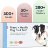 cat litter Basepaws | Basepaws Cat Dna Test Kit - Comprehensive Breed, Health And Dental Analysis Across 114 Traits For Accurate And Easy-To-Use Genetic Insights