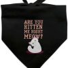 cat food GRAPHICS & MORE | Are You Kitten Me Right Meow Cat Dog Pet Bandana