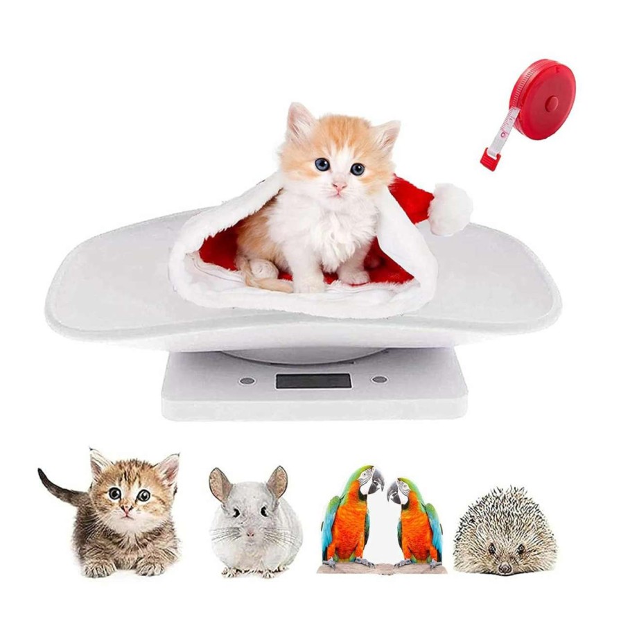 cat food LFGKeng | Lfgkeng Digital Pet Scale, Small Animal Scale With Tape Measure, Kitchen Food Scale, Weighing Max 33Lbs, Size 12\"X8\", Lcd Electronic Weight Scale For Kitten, Puppy, Hamster, Little Bird(White)