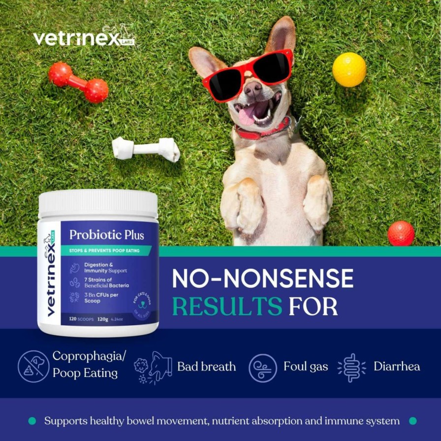 cat food dry Vetrinex Labs | Vetrinex Labs Coprophagia Poop Eating Deterrent & Prevention, Stop & Prevent Stool Eating Treatment - Probiotics For Dogs, Cats And Puppies - Forbids Dog From Eating Poop - Probiotic Powder (120 Gms)