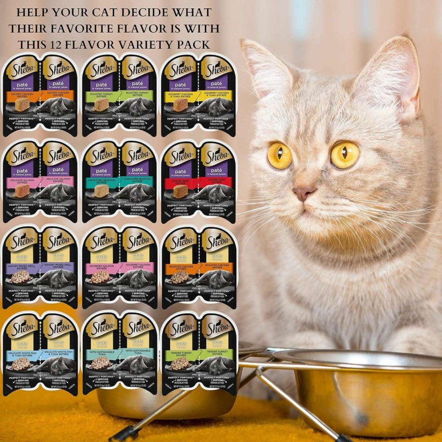 cat food wet Pantry Delight | Sheba Wet Cat Food Perfect Portions Pate & Cuts In Gravy Variety Pack - All Flavors, Beef, Chicken, Salmon, Turkey, Tuna, White Fish, Mixed Grill - (12 Pack 24 Servings) With 2 Mouse Cat Toys