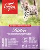 cat food dry ORIJEN | Orijen Dry Kitten Food, Grain Free Food For Kittens, With Wholeprey Ingredients, 4Lb