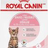 cat food Royal Canin | Royal Canin Feline Health Nutrition Spayed/Neutered Dry Cat Food For Kittens, 2.5 Lb Bag