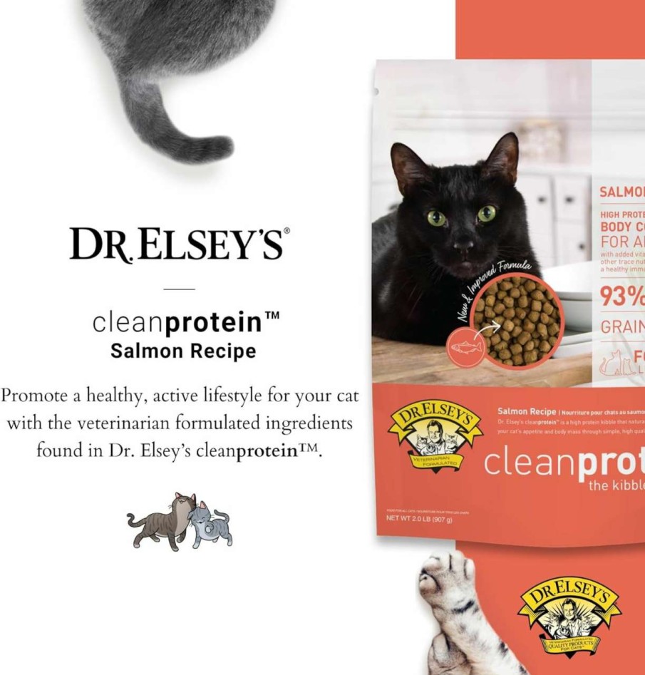 cat food Dr. Elsey's | Dr. Elsey'S Cleanprotein Salmon Formula Dry Cat Food, 2 Pound (Pack Of 1)