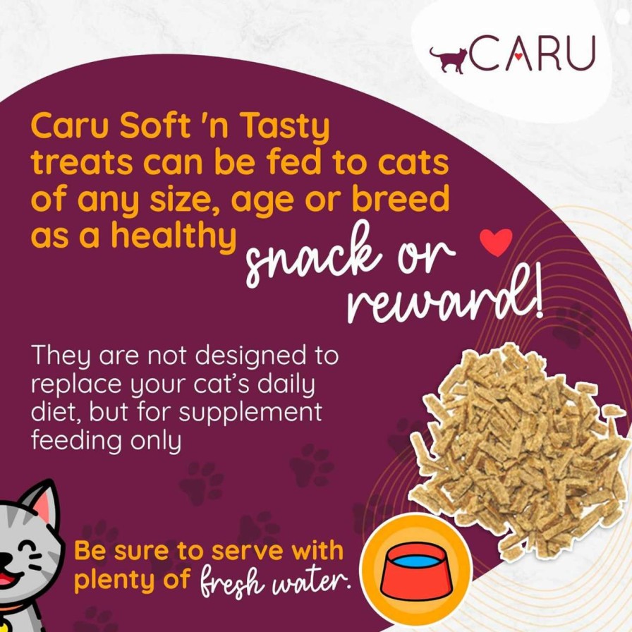 cat food wet Caru | Caru - Soft 'N Tasty Baked Bites - Salmon Bites Cat Treats - Flavorful All-Natural Treats - Pack Of 3