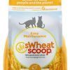 cat litter sWheat Scoop | Swheat Scoop Natural Wheat Cat Litter, Original, Fast Clumping With Odor Neutralizing Enzymes, 25 Pound Bag