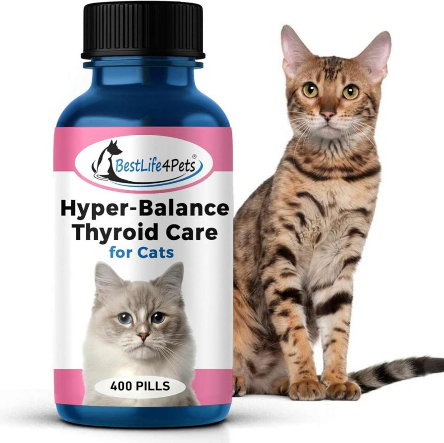 cat food dry BestLife4Pets | Bestlife4Pets Cat Hyperthyroid + Weight Gain Support - Feline Thyroid Supplement For Metabolic Support - All-In-One Thyroid Supplement For Weight Management - Easy To Use Natural Pills