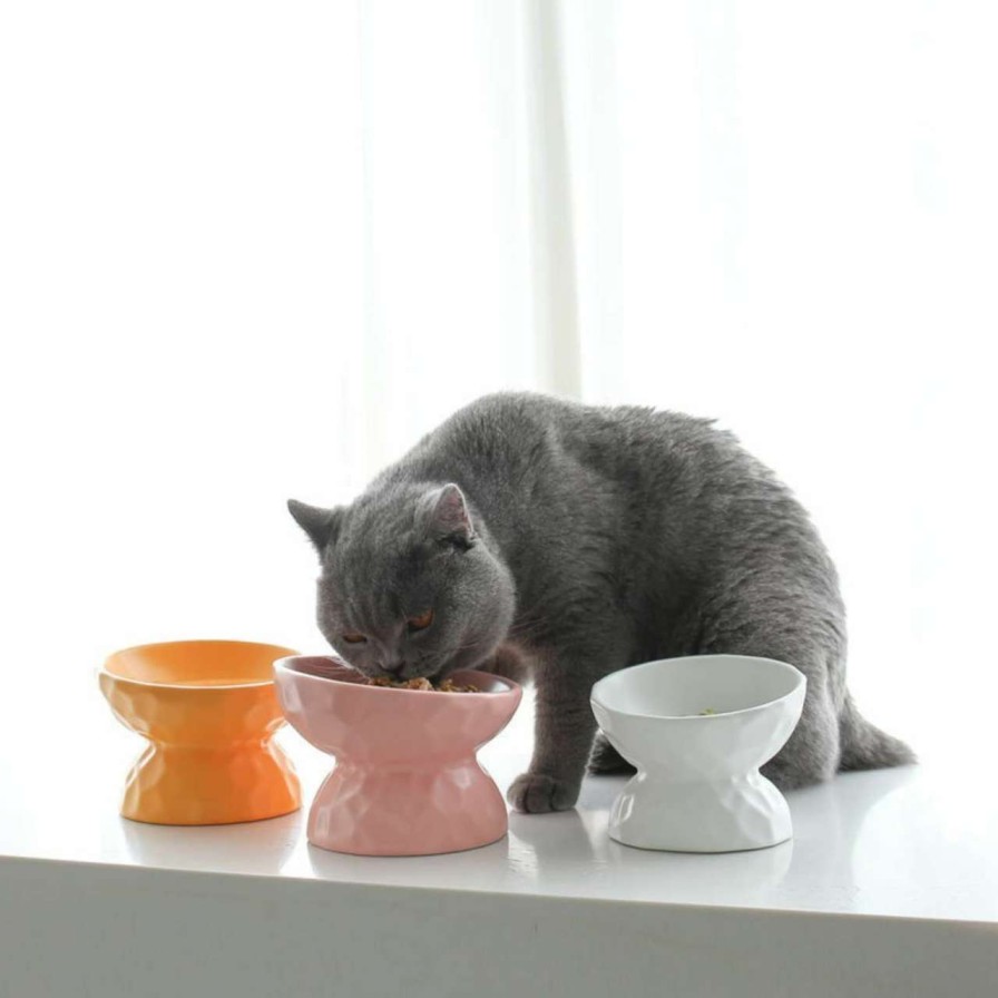 cat food HAHBUZ | Easy To Clean Cat Bowls Cat Food Without Spills Cat Bowls For Big-Faced Cats