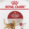 cat food Royal Canin | Royal Canin Adult Fit & Active Dry Adult Cat Food, 3 Lb Bag