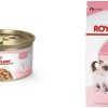 cat food Royal Canin | Royal Canin Bundle Feline Health Nutrition Kitten Thin Slices In Gravy Canned Cat Food, 3 Oz Can + Kitten Dry Cat Food, 14 Lb Bag