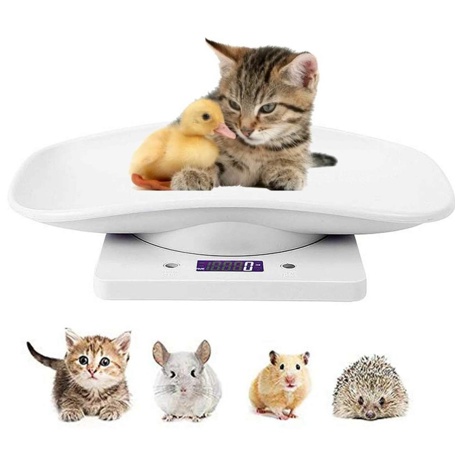 cat food LFGKeng | Lfgkeng Digital Pet Scale, Small Animal Scale With Lcd Display, Multifunction Kitchen Food Scale, Weighing Max 33Lbs, Size 12\"X 8\" Inch For Weight Scale With New Born Kitten And Puppy (White)