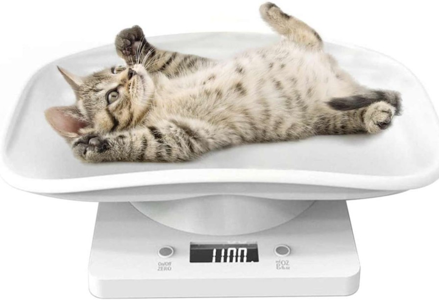 cat food Qulable | Pet Scale,Puppy Scale For Whelping,Multifunction Electronic Digital Scale 33Lb/1G With Height Measure Accurately Perfect For Small Pet Puppy/Kitty/Hamster/Hedgehog/Food, Tray Length 11 Inch