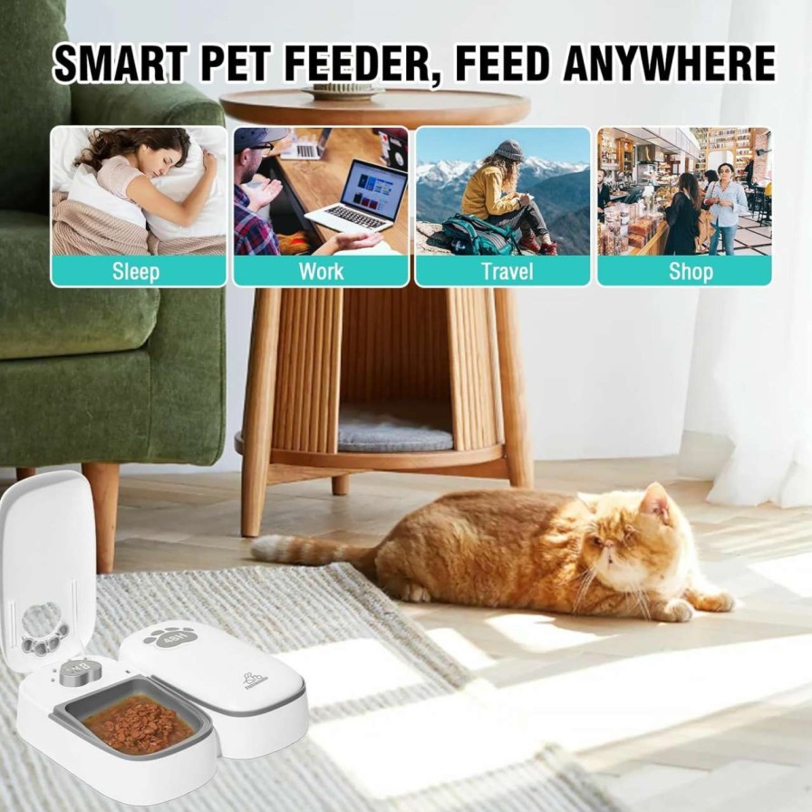 cat food dry SKAILING | Skailing Automatic Cat Feeder 2 Meal, 48H Timer Wet Dry Cat Food Dispenser, With Display And Power Saving Mode, For Cat And Dog Automatic Feeder