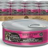 cat food wet Dave's Pet Food | Dave'S Pet Food Grain Free Wet Cat Food (95% Beef & Beef Liver Pate), Made In Canada Naturally Healthy Canned Cat Food, Added Vitamins & Minerals, Wheat & Gluten-Free, 5.5 Oz Cans (Case Of 24)