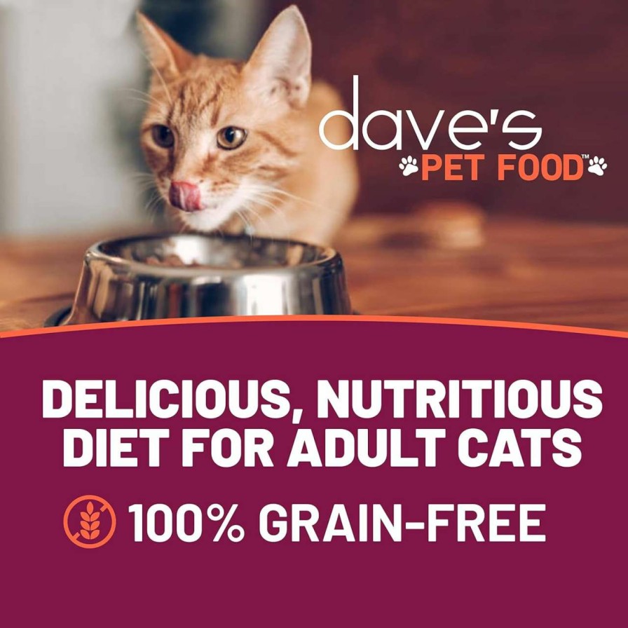 cat food wet Dave's Pet Food | Dave'S Pet Food Grain Free Wet Cat Food (Shredded Chicken & Shrimp In Gravy), Naturally Healthy Canned Cat Food, Added Vitamins & Minerals, Wheat, Gluten & Gmo-Free, 2.8 Oz Cans (Case Of 24)