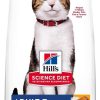 cat food dry Hill's Science Diet | Hill'S Science Diet Dry Cat Food, Adult 7+ For Senior Cats, Chicken Recipe, 4 Lb. Bag