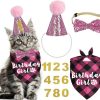 cat food wet JOTFA | Jotfa Cat Birthday Party Supplies, Cat Birthday Outfits Cat Kitten Birthday Girl Bandanas With Cat Birthday Hat Crown Cat Bow Tie Birthday Number For Cat Kitten Birthday Decorations (Pink)