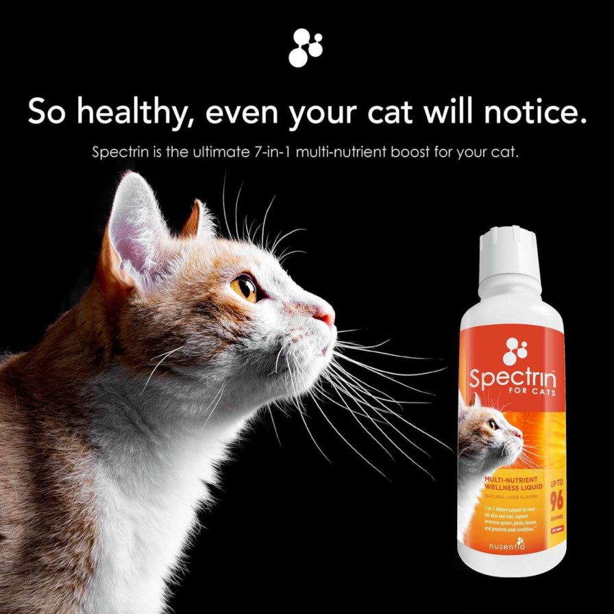 cat food NUSENTIA | Cat Vitamins - Spectrin 16 Oz - Liquid Vitamin & Antioxidant Supplement For Cats - 96 Doses