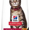 cat food Hill's Pet Nutrition | Hill'S Pet Nutrition Science Diet Dry Cat Food, Adult, Chicken Recipe, 16 Lb. Bag, White