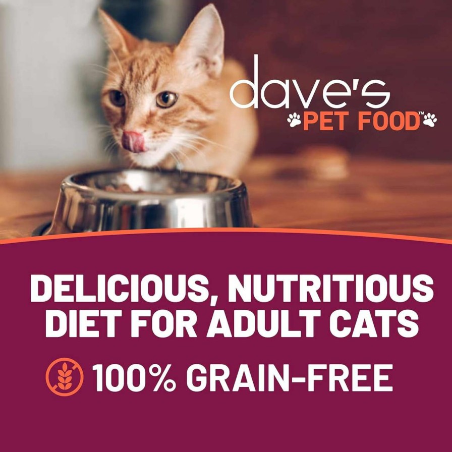 cat food wet Dave's Pet Food | Dave'S Pet Food Grain Free Wet Cat Food (Shredded Salmon In Gravy), Made In Canada Naturally Healthy Canned Cat Food, Added Vitamins & Minerals, Wheat & Gluten-Free, Gmo-Free, 5.5 Oz Cans (Case Of 24)