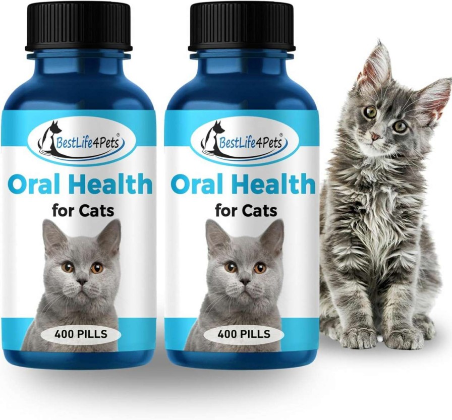 cat food dry BestLife4Pets | Bestlife4Pets Oral Health For Cats - Cat Dental Care Supplement Anti Inflammatory Pain Relief For Stomatitis Gingivitis And Gum Disease Cat Supplies For Dental Care - Easy To Use Pills