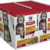 cat food wet Hill's Science Diet | Hill'S Science Diet Adult Wet Cat Food, Chicken & Spinach, 2.8 Oz. Pouch, 24-Pack