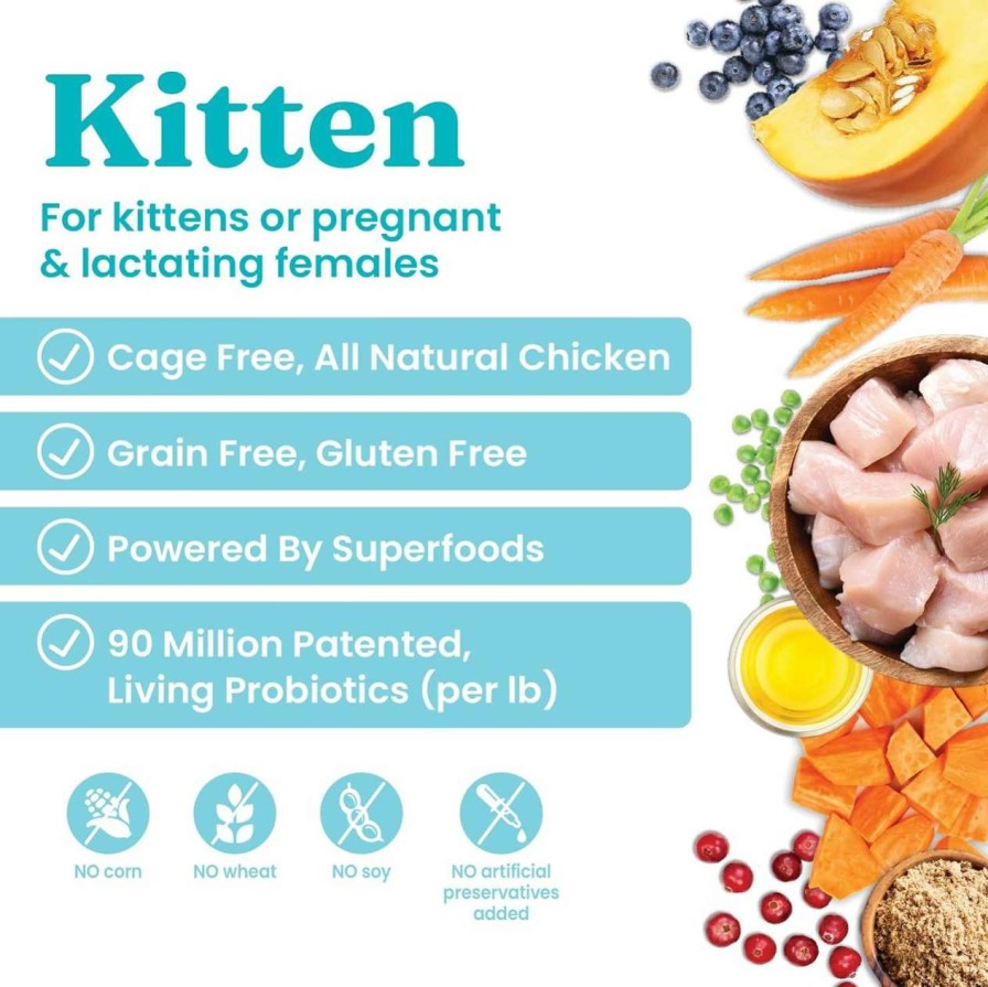 cat food Solid Gold | Solid Gold Dry Kitten Food - Made With Real Chicken And Sweet Potato - Touch Of Heaven Grain Free Dry Cat Food - 6Lb - Wet Cat Food Variety Pack - Wet Cat Food Pate & Shreds In Gravy Recipes - 12 Pack