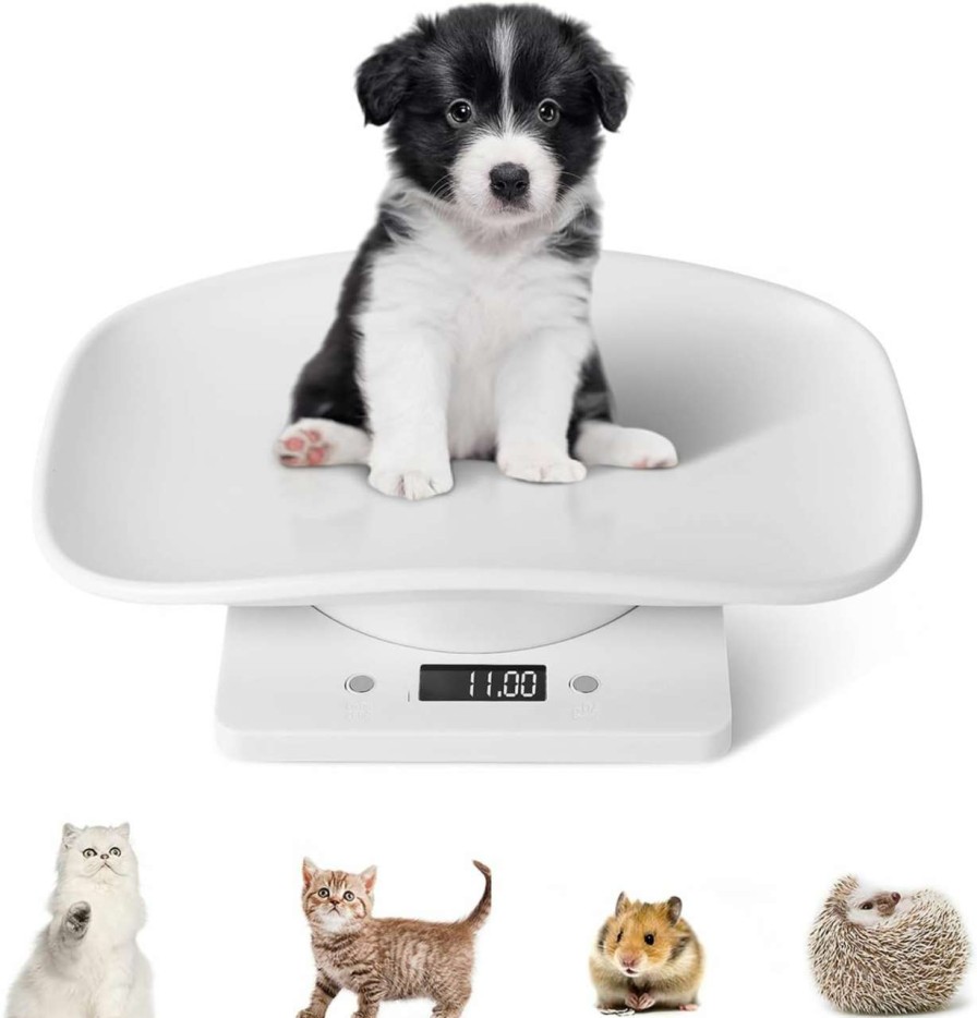 cat food YTDTKJ | Digital Pet Scale, Small Animal Weight Scale Portable Electronic Led Scales, Multifunction Kitchen Scale(Max. 22 Lbs), For Weighing Puppy/Kitten/Hamster/Hedgehog/Tortoise/Food