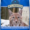 cat food Blue Buffalo | Blue Buffalo Wilderness High Protein, Natural Adult Indoor Dry Cat Food, Chicken 11-Lb