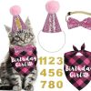 cat food JOTFA | Jotfa Cat Birthday Party Supplies, Cat Birthday Outfits Cat Kitten Birthday Girl Bandanas With Cat Birthday Hat Crown Cat Bow Tie Birthday Number For Cat Kitten Birthday Decorations (Rose)